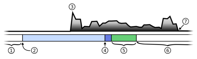 a timeline of a typical notification-response cycle